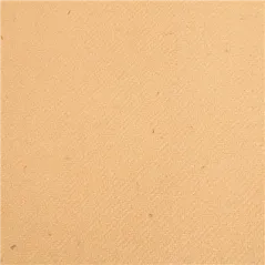 "TÊTE-À-TÊTE" PRÉ. 120CM (20 FEU.) 55 G/M2 0,40x24 M NATUREL AIRLAID (6 UNITÉ)