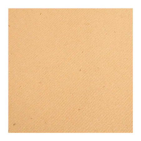 "TÊTE-À-TÊTE" PRÉ. 120CM (20 FEU.)  55 G/M2 0,40x24 M NATUREL AIRLAID (6 UNITÉ)