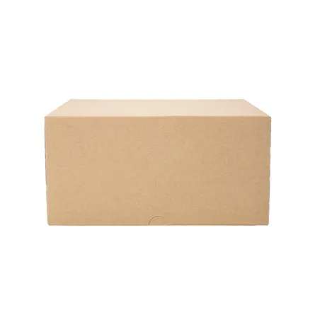 BOÎTES PATISSERIES SANS FENÊTRE THEPACK  24x24x12 CM NATUREL CARTON NANO-MICRO (100 UNITÉ)