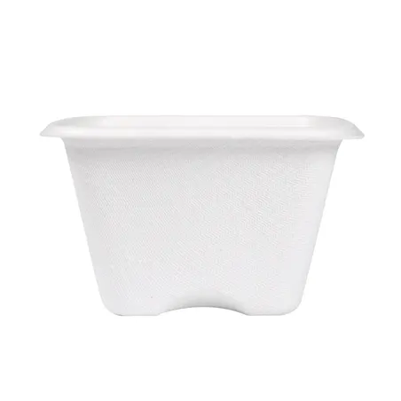PETITS POTS BIONIC 130 ML 7,7x7,7x4,6 CM BLANC BAGASSE (600 UNITÉ)