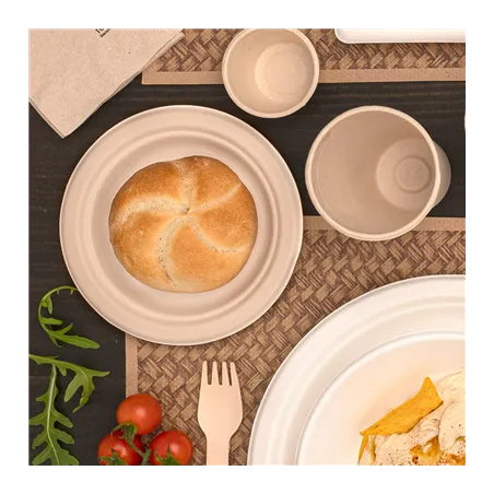 ASSIETTES BIONIC  Ø9,5x1,5 CM NATUREL BAGASSE (1000 UNITÉ)