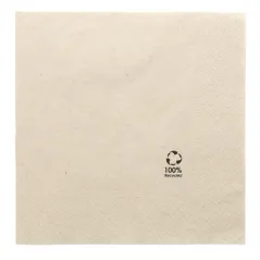 SERVIETTES ECOLABEL 2 PLIS