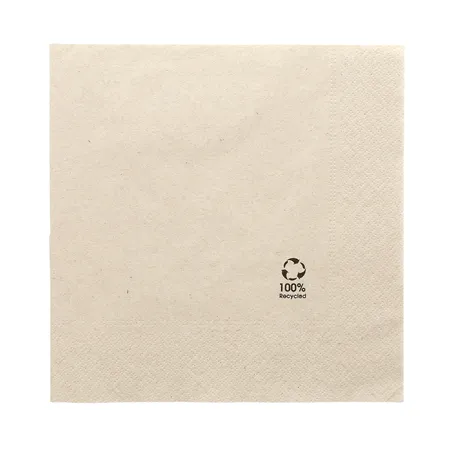 SERVIETTES ECOLABEL 2 PLIS