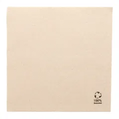 SERVIETTES ECOLABEL DOUBLE POINT