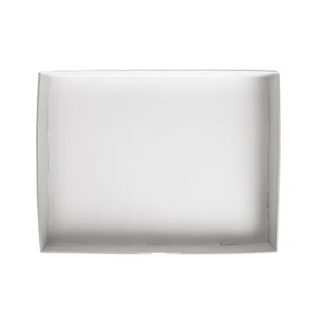 PLATEAUX MODULAIRES THEPACK  40x30x5 CM BLANC CARTON MICROCANAL (100 UNITÉ)