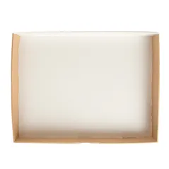 PLATEAUX MODULAIRES THEPACK  40x30x5 CM NATUREL CARTON MICROCANAL (100 UNITÉ)