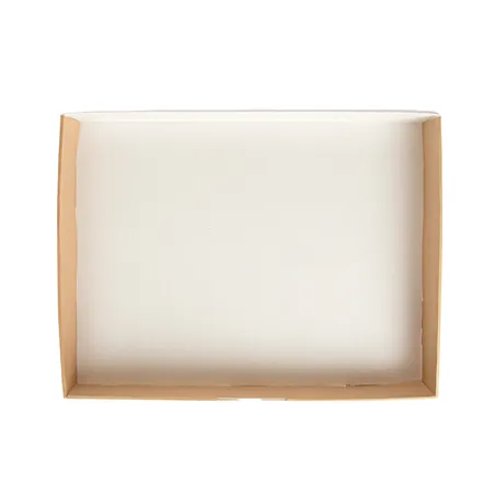 PLATEAUX MODULAIRES THEPACK  40x30x5 CM NATUREL CARTON MICROCANAL (100 UNITÉ)