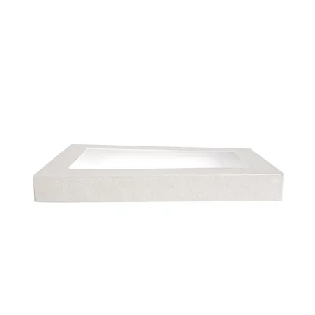 COUVERCLES AVEC FENÊTRE POUR COD. 254.71 THEPACK  22x15x2 CM BLANC CARTON NANO-MICRO + OPP (50 UNITÉ)