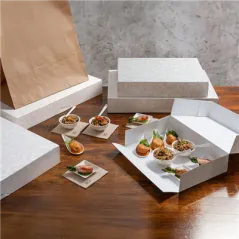 BOÎTES CATERING, PLATE THEPACK 'DAMASCO' 46x35x6 CM BLANC CARTON NANO-MICRO (100 UNITÉ)