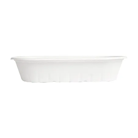 LUNCH BOX BIONIC 800 ML 24,3x12x4,8 CM BLANC BAGASSE (500 UNITÉ)