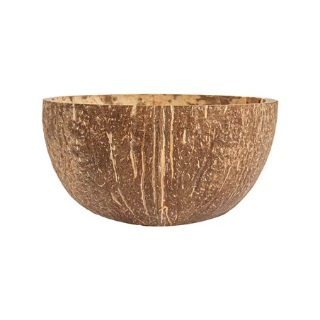 BOLS 'COCONUT' 100 ML Ø9x5 CM NATUREL COCO (5 UNITÉ)