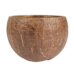BOLS 'COCONUT' 200 ML Ø9x6 CM NATUREL COCO (5 UNITÉ)