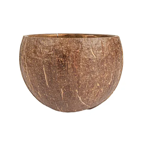 BOLS 'COCONUT' 200 ML Ø9x6 CM NATUREL COCO (5 UNITÉ)