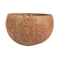 BOLS 'COCONUT' 350 ML Ø9,5x8 CM NATUREL COCO (5 UNITÉ)
