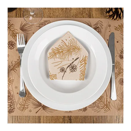 SETS DE TABLE ECOLOGIQUE 'WINTER'  48 G/M2 31x43 CM NATUREL KRAFT (2000 UNITÉ)