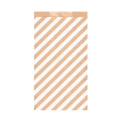 SACHETS PLATS RAYURES