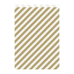 SACHETS PLATS RAYURES