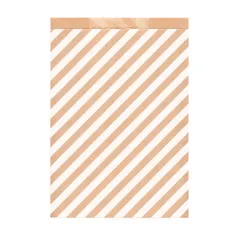 SACHETS PLATS RAYURES