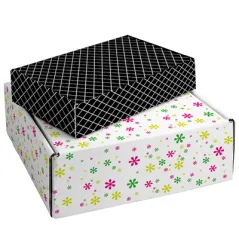20 U BOÎTES PRÉSENTATION  436 G/M2 28,6x17,6x6,5 CM CARTON (1 UNITÉ)