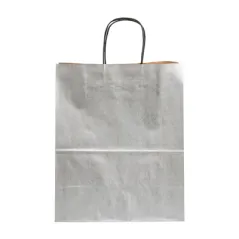 SACS SOS COULEUR UNIQUE  80 G/M2 20+10x29 CM ARGENTE KRAFT (250 UNITÉ)