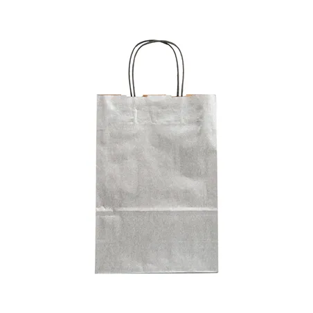 SACS SOS AVEC ANSES  80 G/M2 26+14x32 CM ARGENTE KRAFT (250 UNITÉ)
