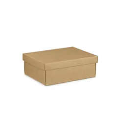 30 U. BOÎTES RECTANGULAIRES