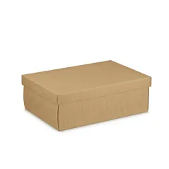 10 U. BOÎTES RECTANGULAIRES