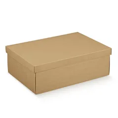 10 U. BOÎTES RECTANGULAIRES