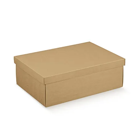 10 U. BOÎTES RECTANGULAIRES