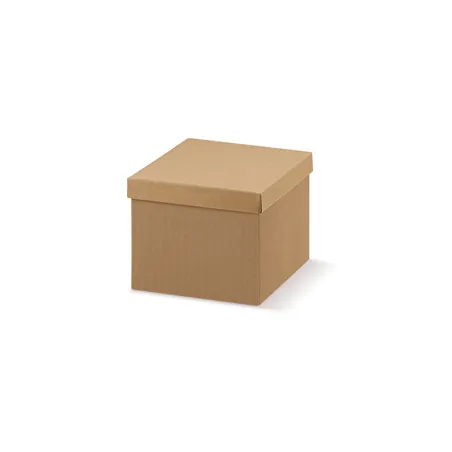 20 U. BOÎTES