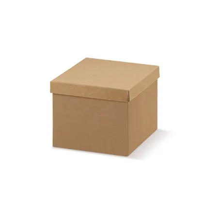 20 U. BOÎTES